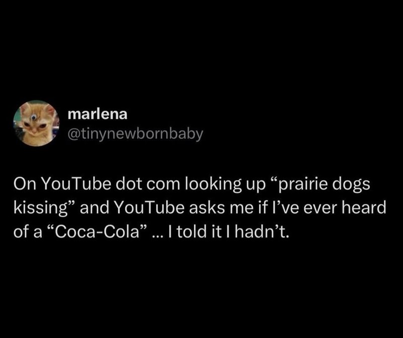 marlena @tinynewbornbaby On YouTube dot com looking up "prairie dogs kissing" and YouTube asks me if I've ever heard of a "Coca-Cola" ... I told it I hadn't.
