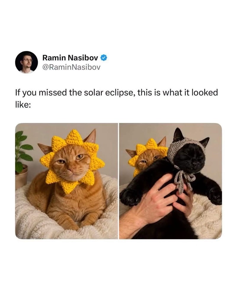 Ramin Nasibov @Ramin Nasibov If you missed the solar eclipse, this is what it looked like: