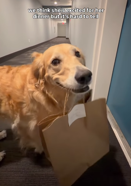 we think she's excited for her dinner but it's hard to tell