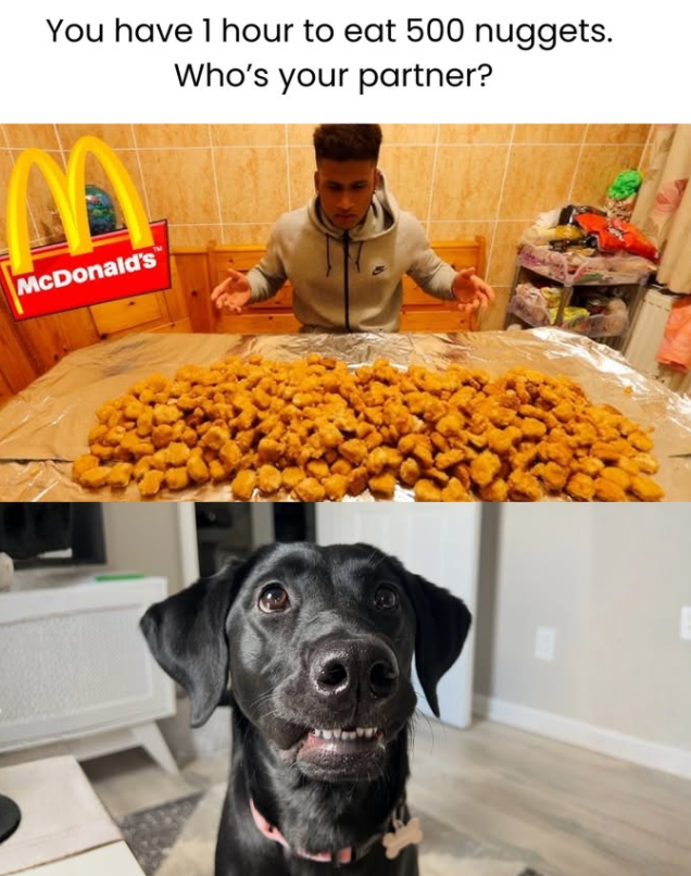 You have 1 hour to eat 500 nuggets. Who's your partner? McDonald's