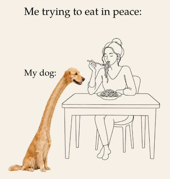 Me trying to eat in peace: My dog: