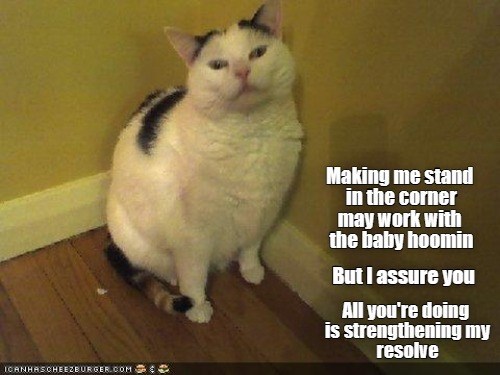 ICANHASCHEEZBURGER.COM I Making me stand in the corner may work with the baby hoomin But I assure you All you're doing is strengthening my resolve