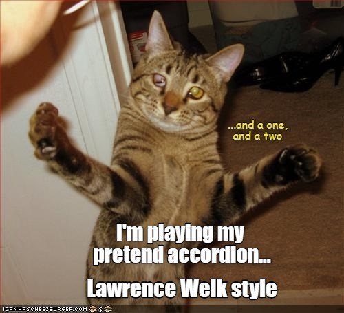 ...and a one, and a two I'm playing my pretend accordion... Lawrence Welk style ICANHASCHEEZBURGER.COM :*