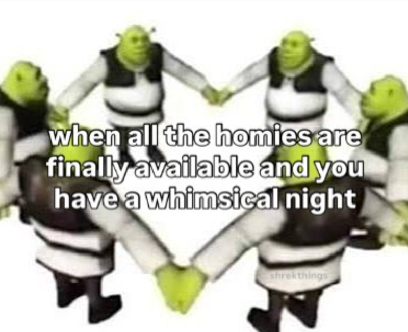 when all the homies are finally available and you have a whimsical night shrekthings