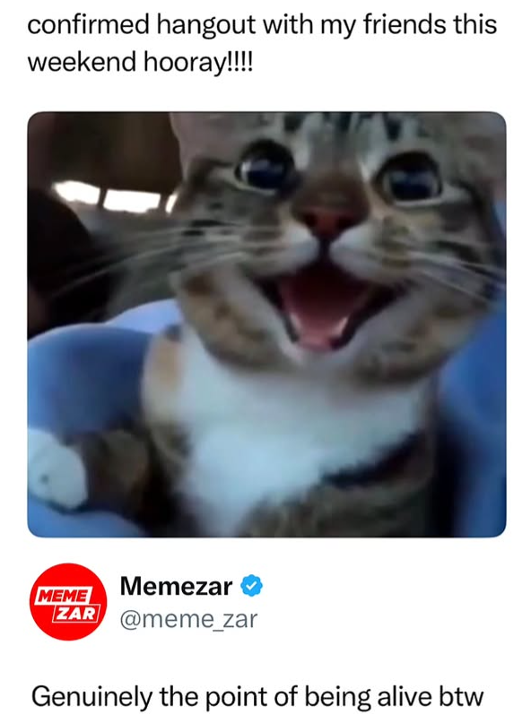 confirmed hangout with my friends this weekend hooray!!!! MEME Memezar ZAR @meme_zar Genuinely the point of being alive btw