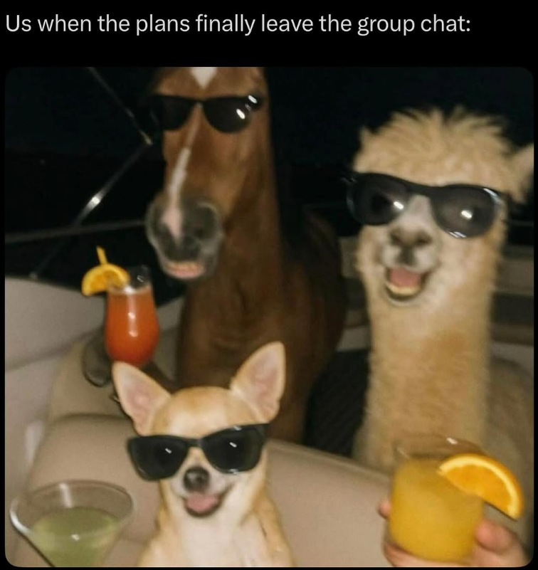Us when the plans finally leave the group chat: