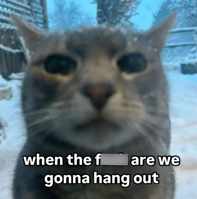 when the fare we gonna hang out