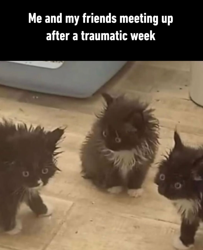 Me and my friends meeting up after a traumatic week