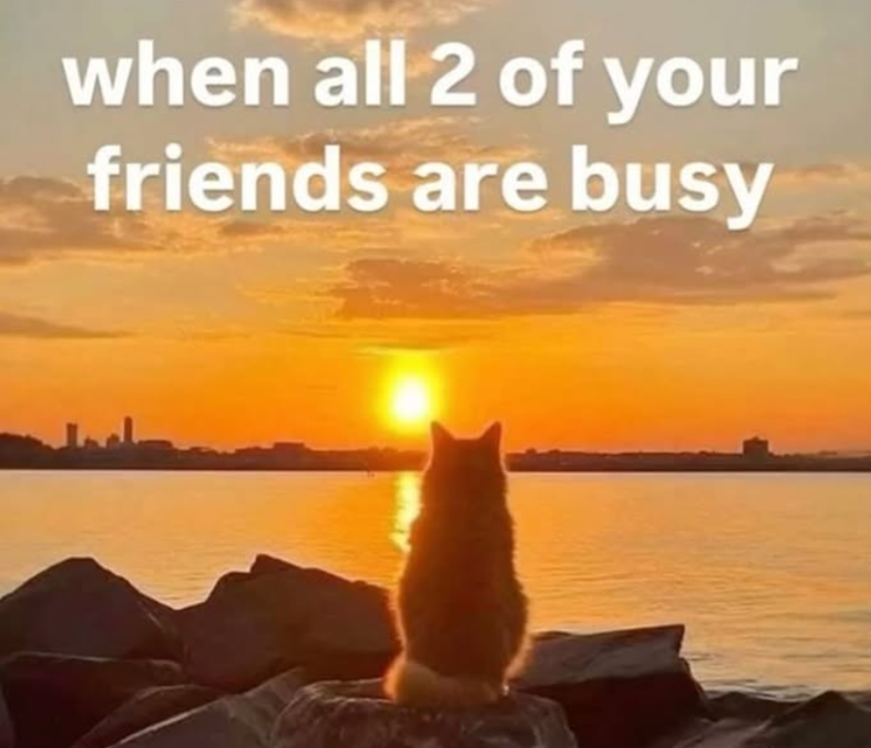 when all 2 of your friends are busy
