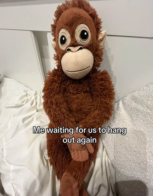 Me waiting for us to hang out again