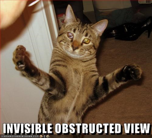 INVISIBLE OBSTRUCTED VIEW ICANHASCHEEZBURGER.COM :