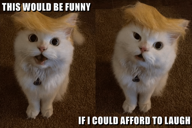 THIS WOULD BE FUNNY IF I COULD AFFORD TO LAUGH
