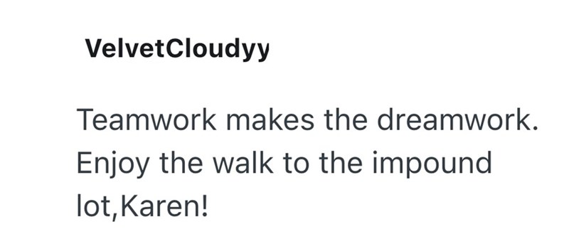 VelvetCloudyy Teamwork makes the dreamwork. Enjoy the walk to the impound lot, Karen!