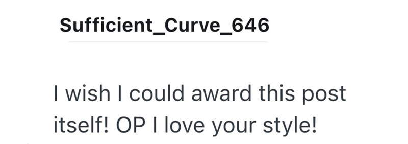 Sufficient_Curve_646 I wish I could award this post itself! OP I love your style!