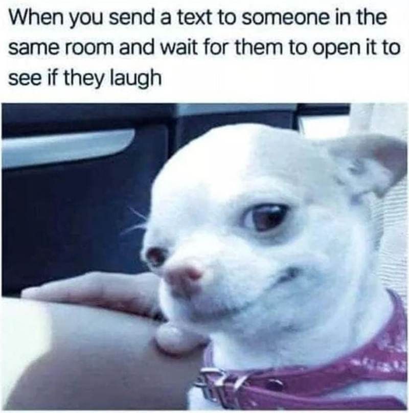When you send a text to someone in the same room and wait for them to open it to see if they laugh