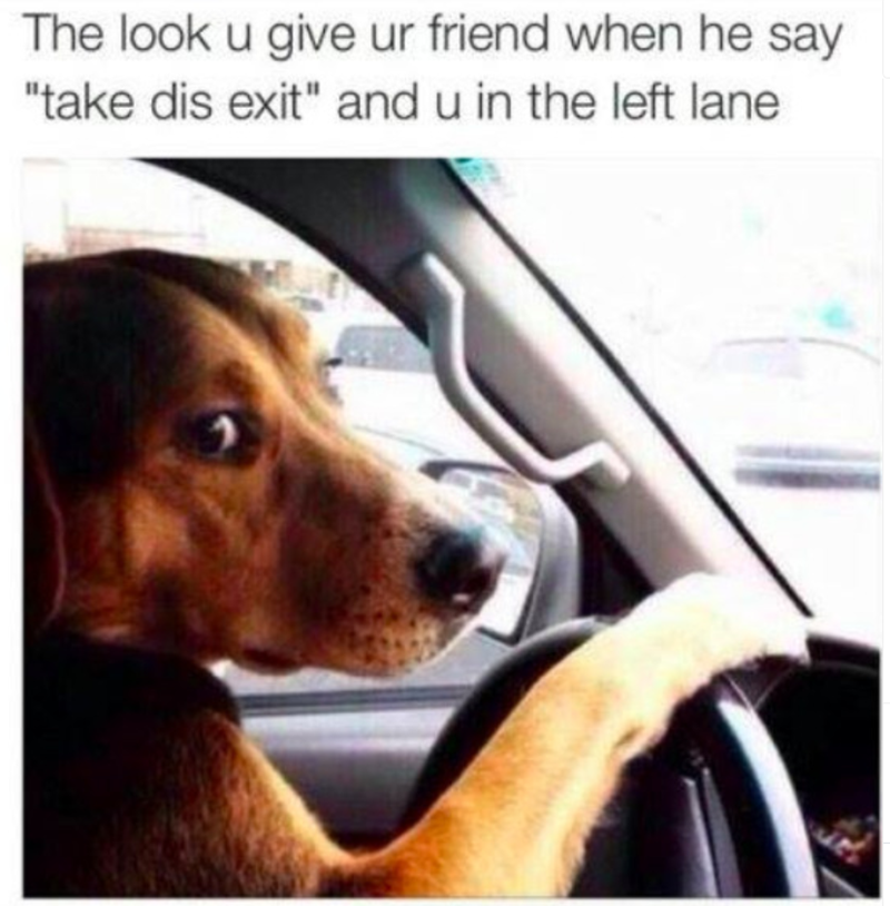 The look u give ur friend when he say "take dis exit" and u in the left lane