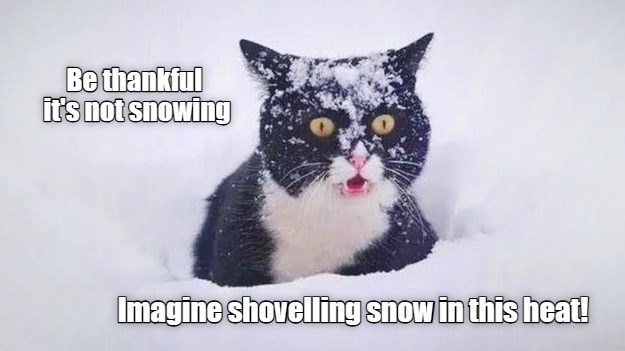 Be thankful it's not snowing Imagine shovelling snow in this heat!