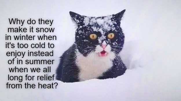Why do they make it snow in winter when it's too cold to enjoy instead of in summer when we all long for relief from the heat?