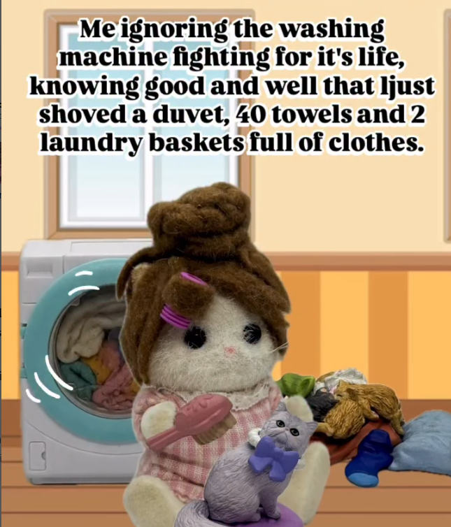 Me ignoring the washing machine fighting for it's life, knowing good and well that ljust shoved a duvet, 40 towels and 2 laundry baskets full of clothes.