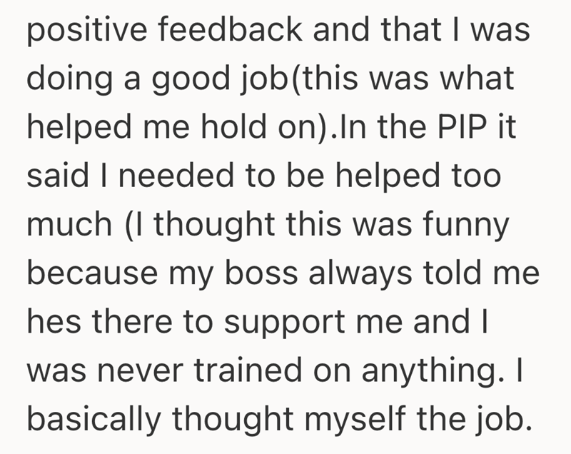 positive feedback and that I was doing a good job (this was what helped me hold on). In the PIP it said I needed to be helped too much (I thought this was funny because my boss always told me hes there to support me and I was never trained on anything. I basically thought myself the job.