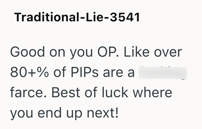 Traditional-Lie-3541 Good on you OP. Like over 80+% of PIPs are a farce. Best of luck where you end up next!