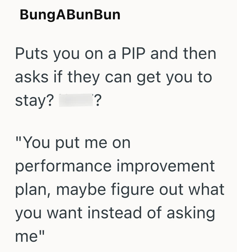 BungABunBun Puts you on a PIP and then asks if they can get you to stay? ? "You put me on performance improvement plan, maybe figure out what you want instead of asking me"