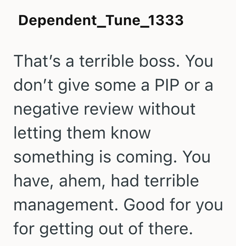 Dependent_Tune_1333 That's a terrible boss. You don't give some a PIP or a negative review without letting them know something is coming. You have, ahem, had terrible management. Good for you for getting out of there.