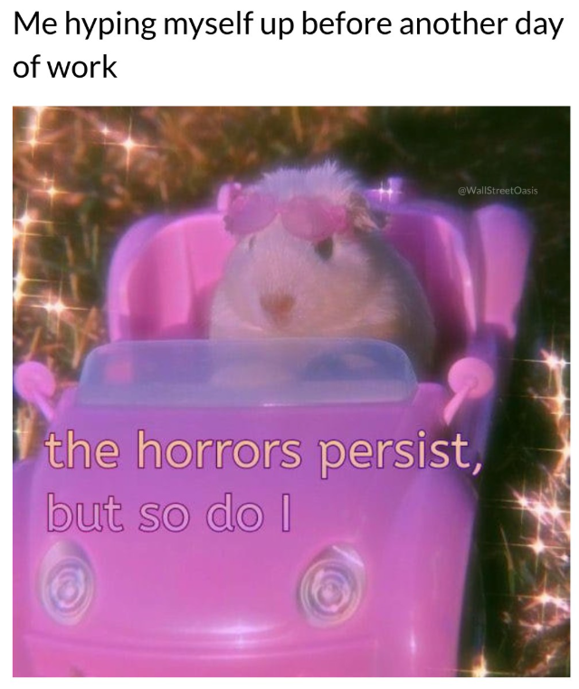 Me hyping myself up before another day of work @WallStreetOasis the horrors persist, but so do I