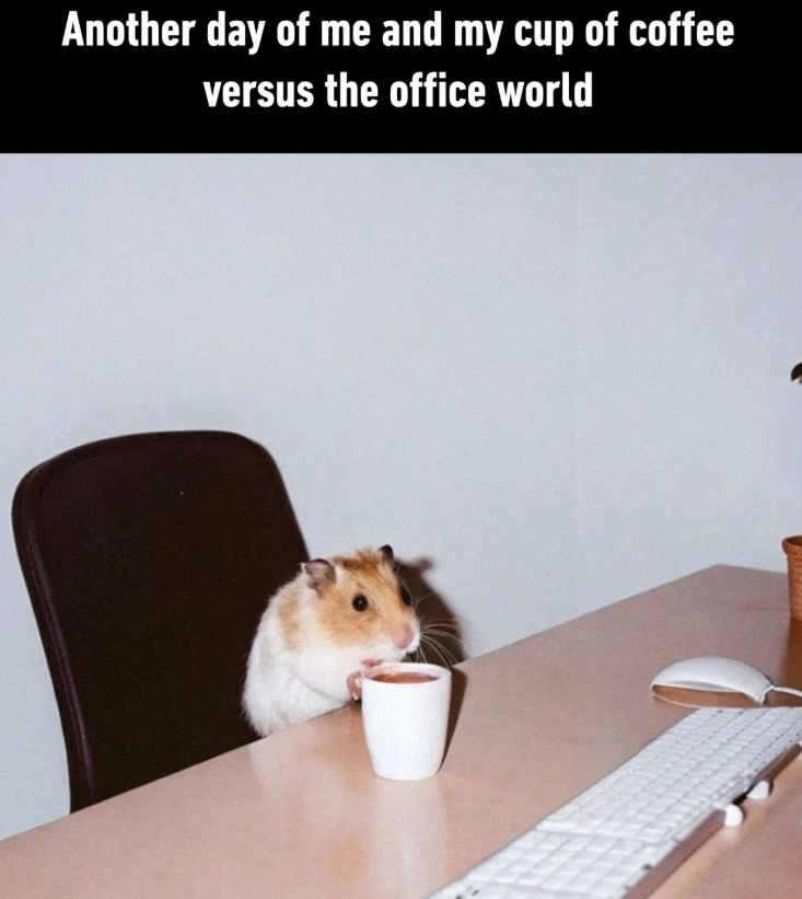 Another day of me and my cup of coffee versus the office world