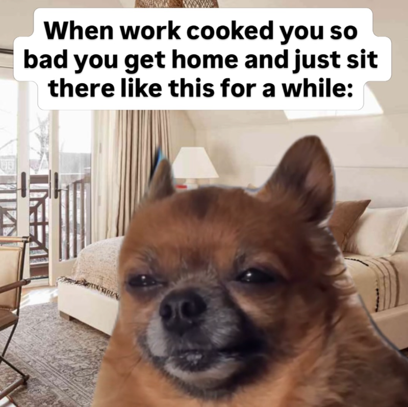 When work cooked you so bad you get home and just sit there like this for a while: