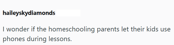 haileyskydiamonds I wonder if the homeschooling parents let their kids use phones during lessons.
