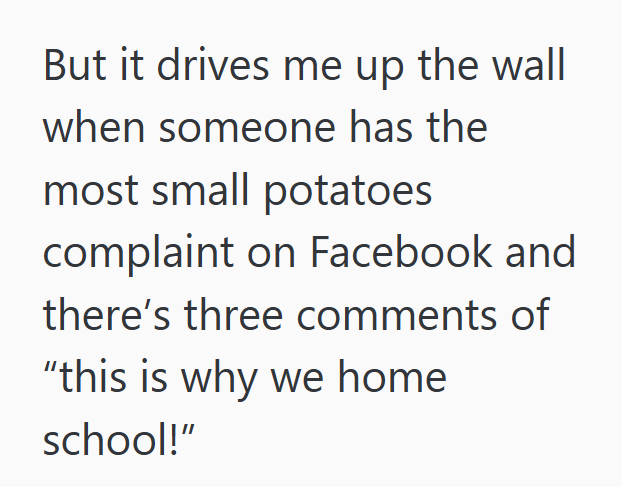 But it drives me up the wall when someone has the most small potatoes complaint on Facebook and there's three comments of "this is why we home school!"