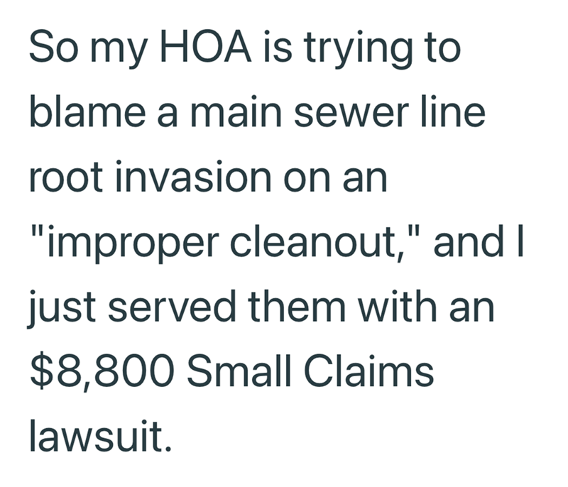 So my HOA is trying to blame a main sewer line root invasion on an "improper cleanout," and I just served them with an $8,800 Small Claims lawsuit.