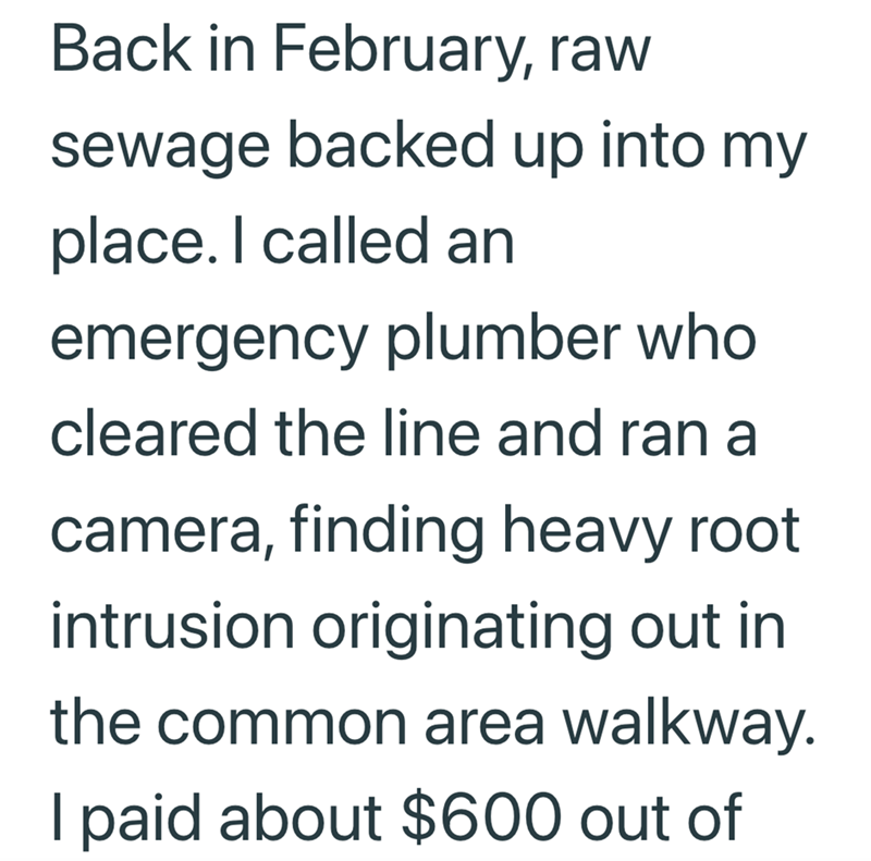 Back in February, raw sewage backed up into my place. I called an emergency plumber who cleared the line and ran a camera, finding heavy root intrusion originating out in the common area walkway. I paid about $600 out of