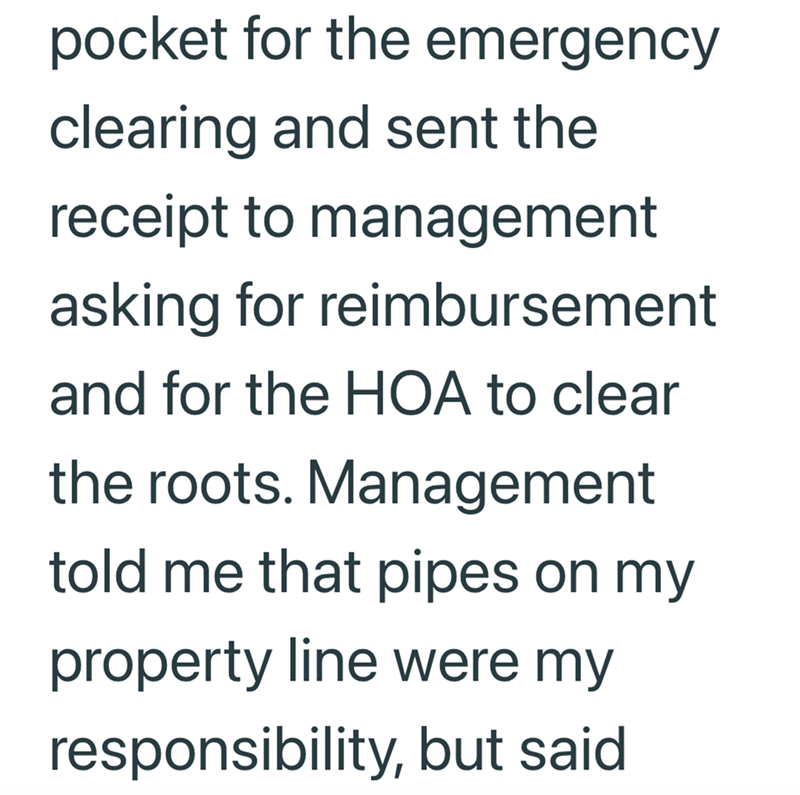 pocket for the emergency clearing and sent the receipt to management asking for reimbursement and for the HOA to clear the roots. Management told me that pipes on my property line were my responsibility, but said