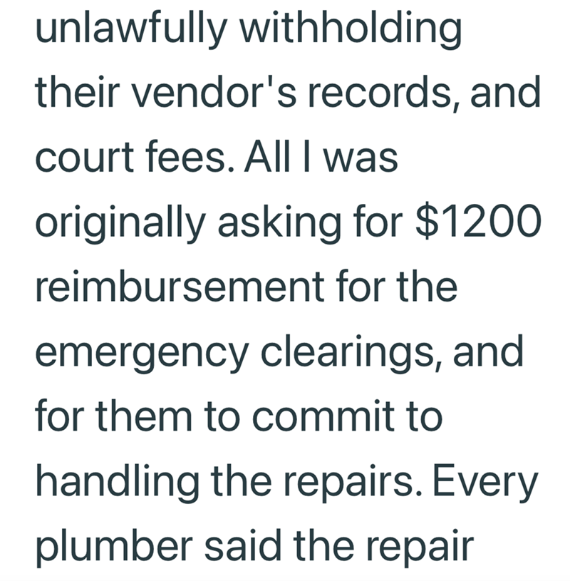 unlawfully withholding their vendor's records, and court fees. All I was originally asking for $1200 reimbursement for the emergency clearings, and for them to commit to handling the repairs. Every plumber said the repair