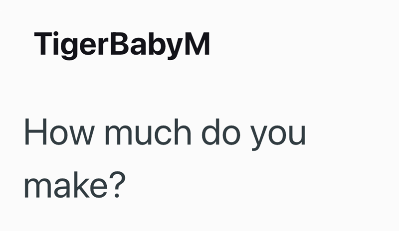 TigerBabyM How much do you make?
