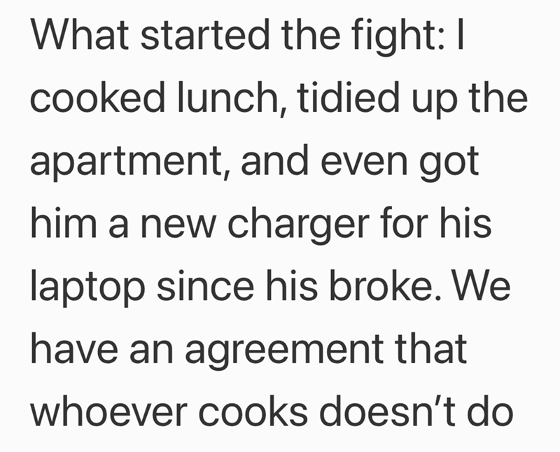 What started the fight: I cooked lunch, tidied up the apartment, and even got him a new charger for his laptop since his broke. We have an agreement that whoever cooks doesn't do