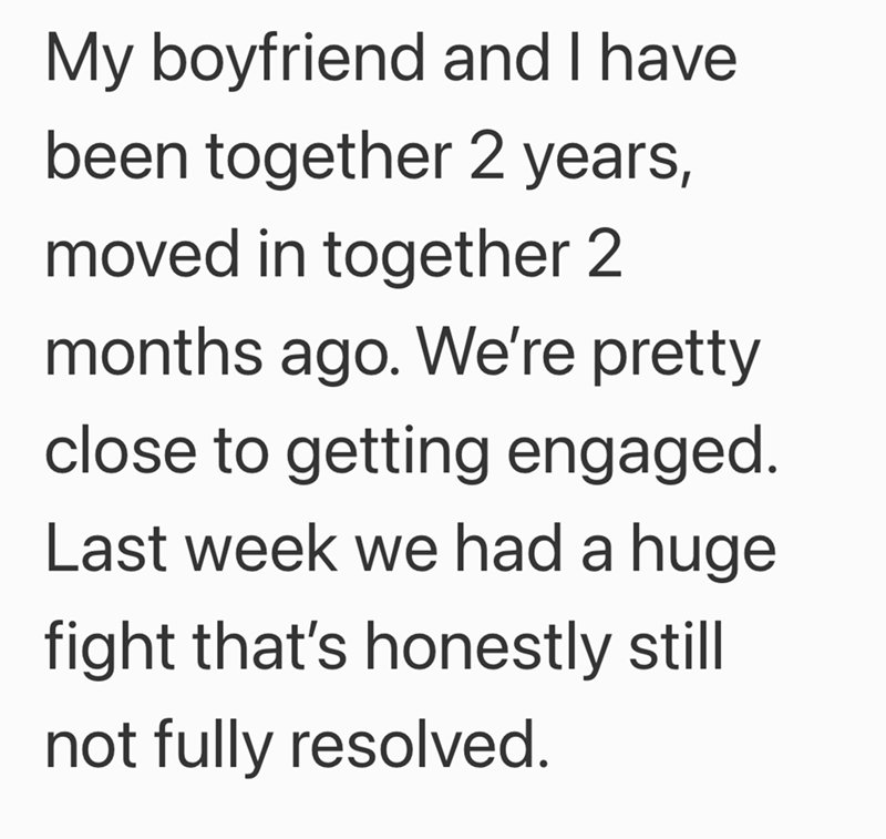 My boyfriend and I have been together 2 years, moved in together 2 months ago. We're pretty close to getting engaged. Last week we had a huge fight that's honestly still not fully resolved.