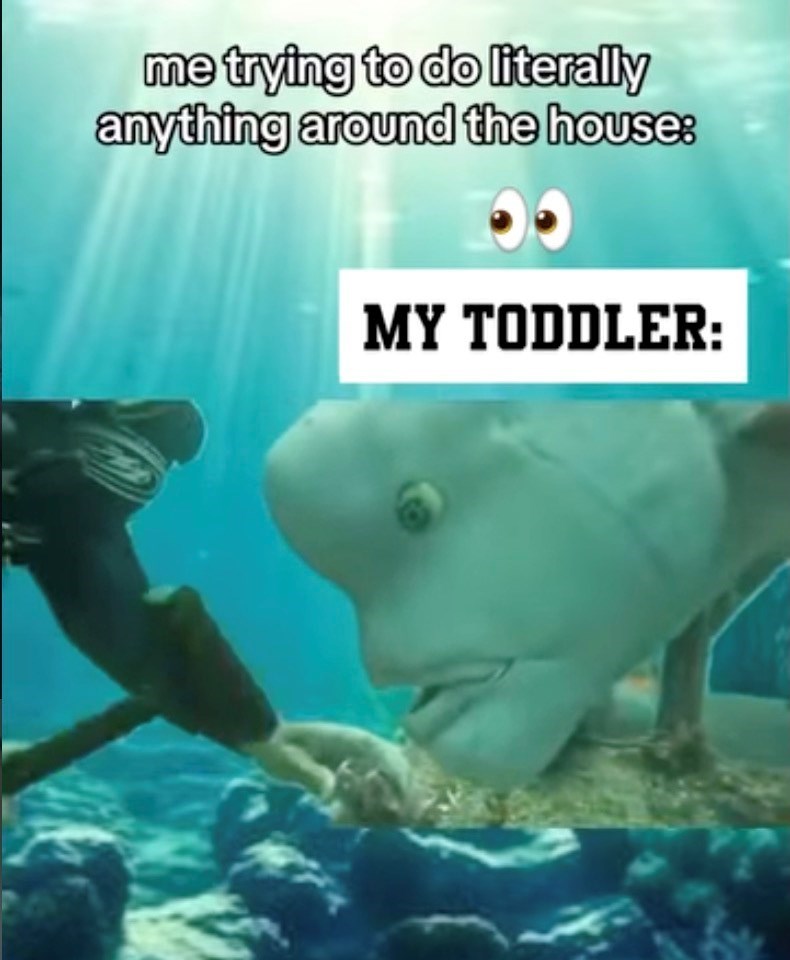 me trying to do literally anything around the house: MY TODDLER: