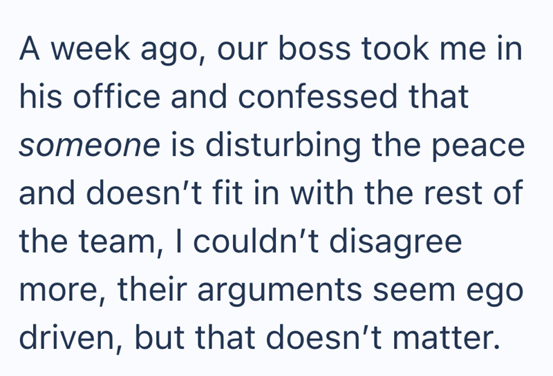 A week ago, our boss took me in his office and confessed that someone is disturbing the peace and doesn't fit in with the rest of the team, I couldn't disagree more, their arguments seem ego driven, but that doesn't matter.
