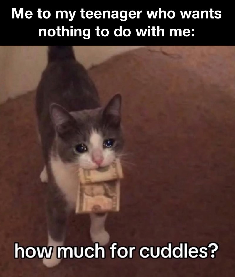 Me to my teenager who wants nothing to do with me: how much for cuddles?