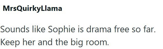 MrsQuirkyLlama Sounds like Sophie is drama free so far. Keep her and the big room.