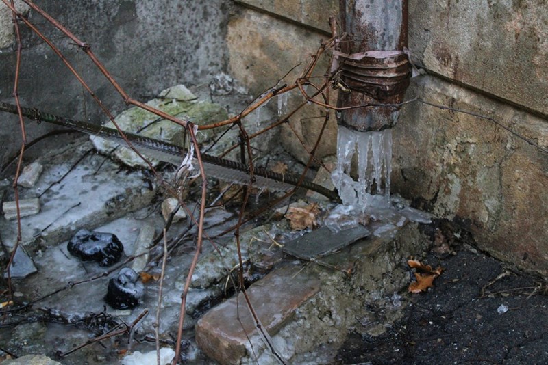 a sewer line with roots in it