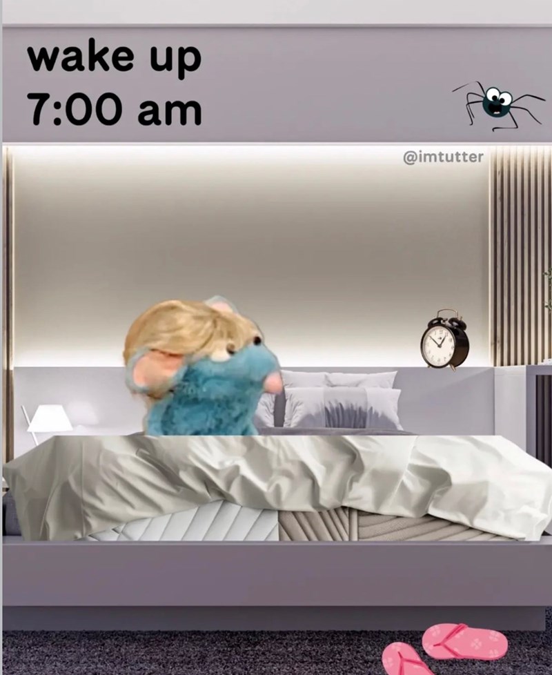 wake up 7:00 am @imtutter