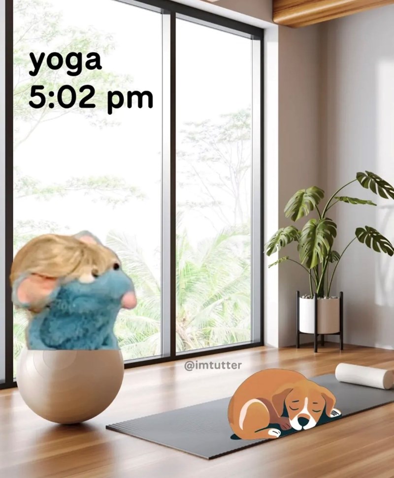 yoga 5:02 pm @imtutter