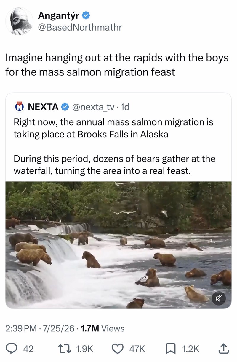 Angantýr❤ @Based Northmathr Imagine hanging out at the rapids with the boys for the mass salmon migration feast NEXTA @nexta_tv. 1d Right now, the annual mass salmon migration is taking place at Brooks Falls in Alaska During this period, dozens of bears gather at the waterfall, turning the area into a real feast. 2:39 PM 7/25/26 1.7M Views 42 ↑ 1.9K א ☑ 47K ☐ 1.2K ↑