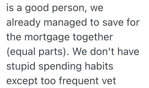 is a good person, we already managed to save for the mortgage together (equal parts). We don't have stupid spending habits except too frequent vet