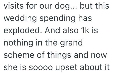 visits for our dog... but this wedding spending has exploded. And also 1k is nothing in the grand scheme of things and now she is soooo upset about it