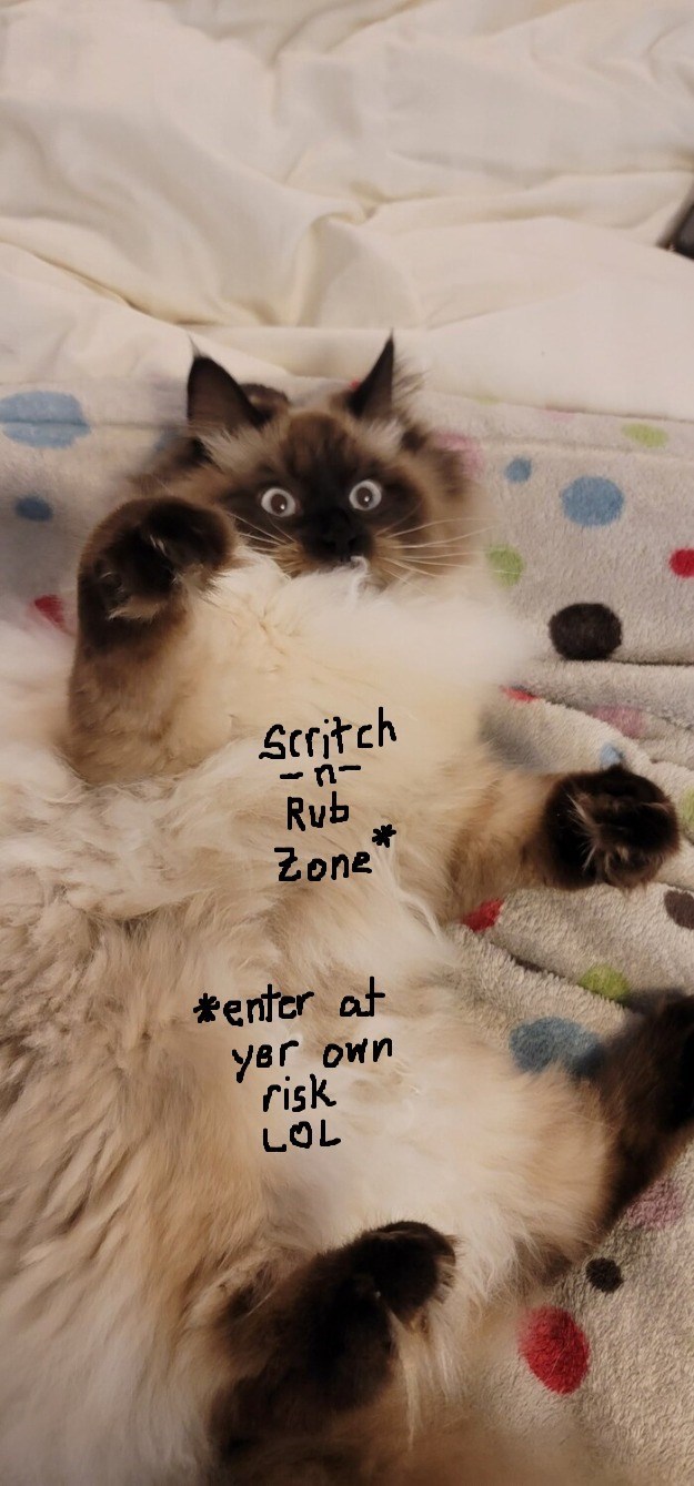 Scritch Rub Zone *enter at yer own risk LOL